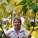 ���� ����, �����������, 52 ���� - ��������� 25 ������ 2015 � ������ ���� ����������