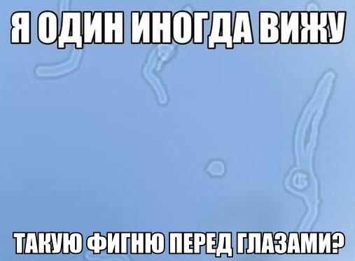  - 12  2015  20:55
