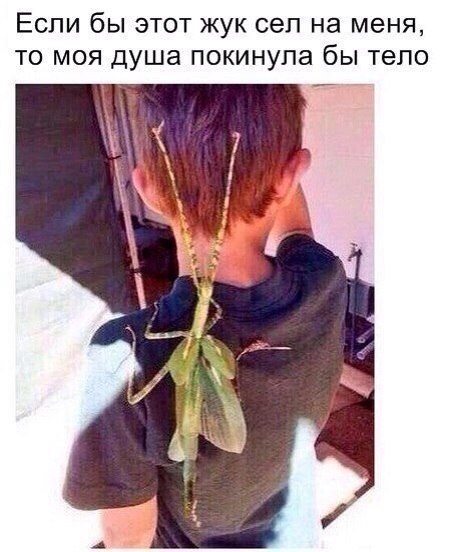    :-) - 5  2015  17:20