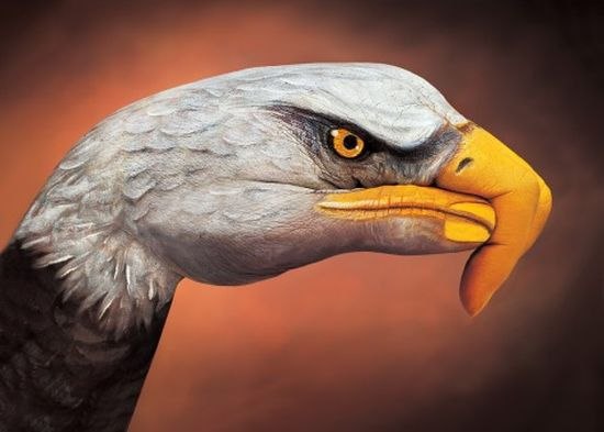   .    (Guido Daniele)   ...