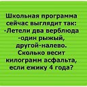 ���� ������, ����������, 33 ���� - ��������� 5 ������� 2015 � ������ ������ ��������