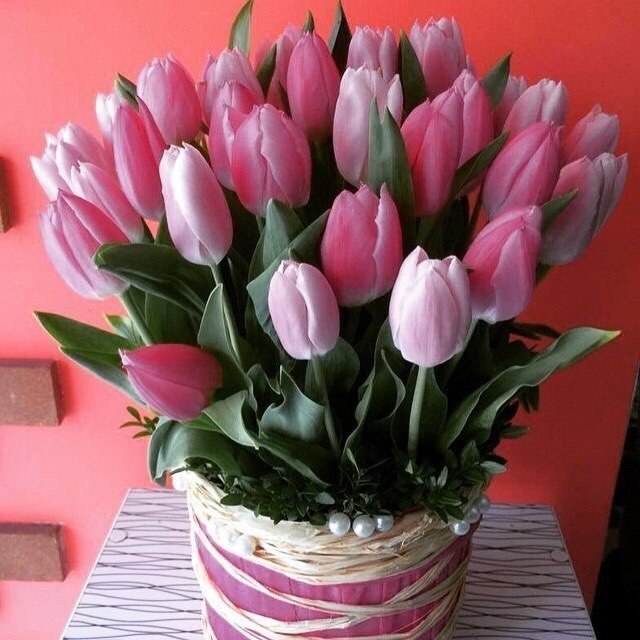   |  |  - 26  2015  18:42 - 6