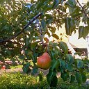 ���� ������, �����-���������, 50 ��� - ��������� 2 ������ 2015 � ������ ���� ����������