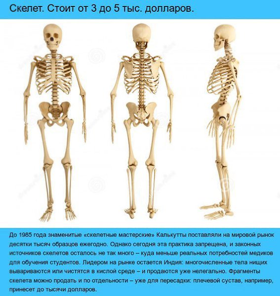   ? - 8