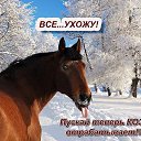  M@rin@, , 65  -  1  2015    