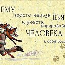 ���� ����, �������, 46 ��� - ��������� 8 ������ 2015 � ������ ������ ��������
