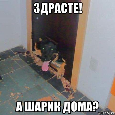   :3 - 10  2015  19:41