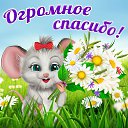 ���� �������, ������ - ��������� 12 ����� 2015 � ������ �������� ��������