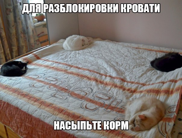  - 6  2015  14:33