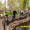 ���� ��������, �������, 53 ���� - ��������� 24 ������� 2015 � ������ ������ ��������