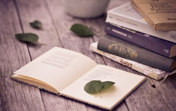 4 отличные книги по интеллектуальному развитию.1. «Техника развития памяти. Самоучитель» — О. А. ...
