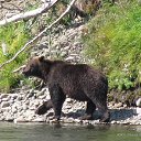 ���� ��������, ������ ���, 70 ��� - ��������� 14 ������� 2014