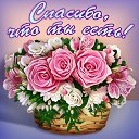 ���� �������, ��������, 53 ���� - ��������� 11 ������ 2015 � ������ �������� ��������