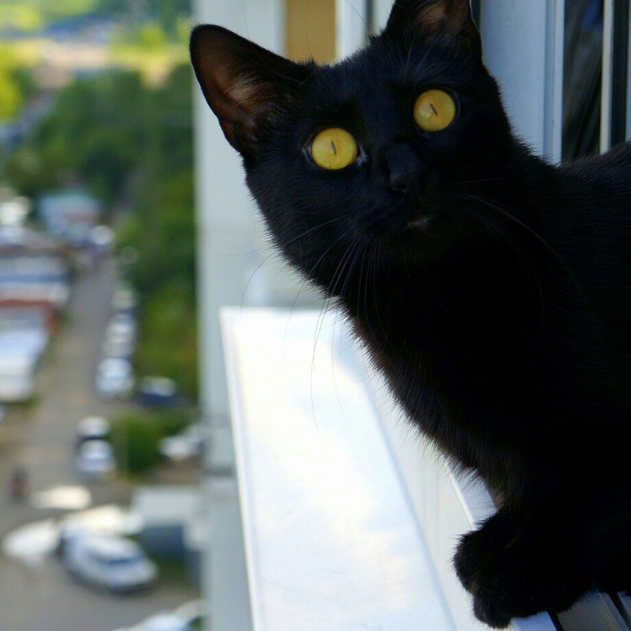    )))