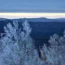  Svann, , 71  -  19  2015    !