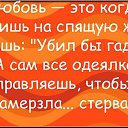  , -, 49  -  11  2015   
