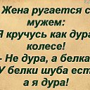 ���� ��������, �����-���������, 63 ���� - ��������� 14 ����� 2015 � ������ ������ ��������