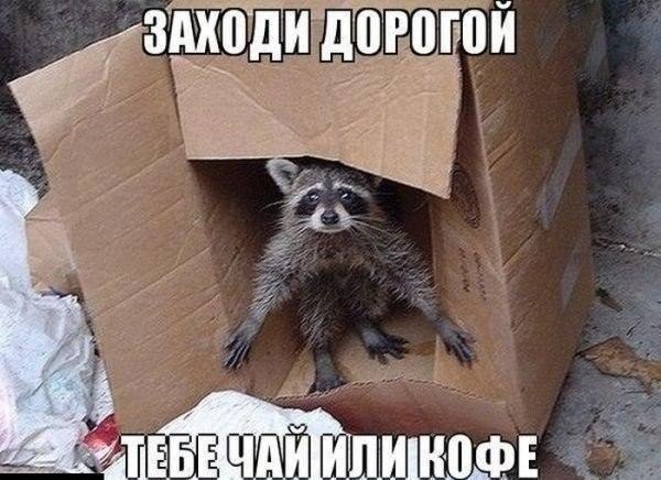 ������������ ���� - 18 ����� 2015 � 15:37
