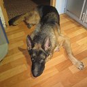 ���� �������, �������, 59 ��� - ��������� 30 ������� 2014 � ������ ������ ��������� ����