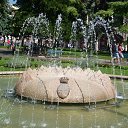 ���� �����, ������� - ��������� 7 ����� 2015 � ������ ���� ����������