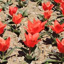  , , 60  -  13  2015      11.04.15.