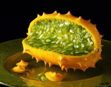   (Cucumis metuliferus):   ( ,  , ). , ...