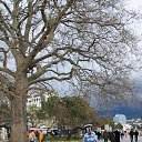  , , 60  -  13  2015      05.04.15.