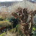 ���� Sveta, ���� - ��������� 7 ������ 2015 � ������ ������� 2015.����.�