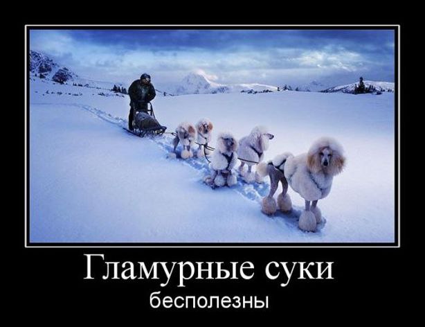  - 12  2015  19:18