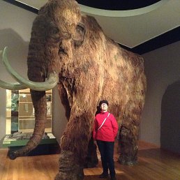 ����, ������