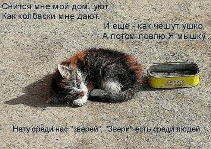 Oleg   - 7  2015  05:32