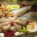 ���� Zoran, ������, 62 ���� - ��������� 15 ������� 2015 � ������ ���� ����������