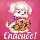 ���� Ksena, �������� - ��������� 7 ������ 2015 � ������ �������� ��������