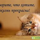 ���� �������, ������-������� - ��������� 3 ������� 2015 � ������ ������ ������
