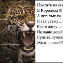 ���� �����, ������������ - ��������� 15 ������ 2015 � ������ ������ ��������