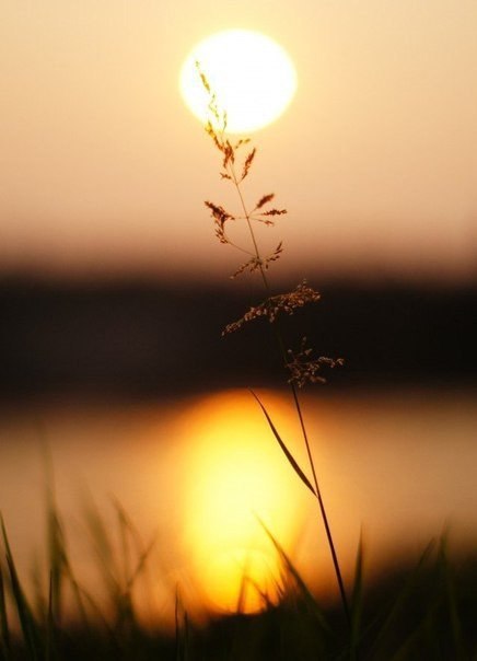 Психология отношений - 22 марта 2015 в 19:32 - 4