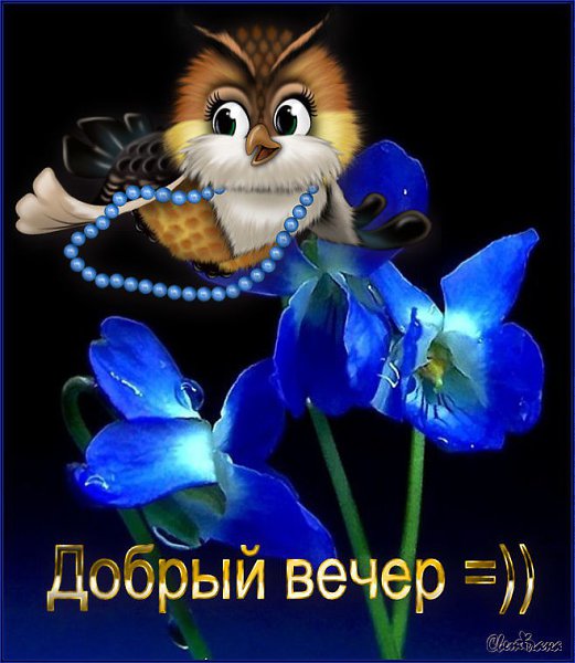 - 3  2015  18:18
