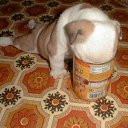 ���� ������, ������-���, 62 ���� - ��������� 15 ������ 2015 � ������ ������ ��������