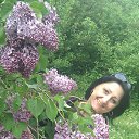 ���� ��������, ����, 62 ���� - ��������� 19 ����� 2015 � ������ ���� ������