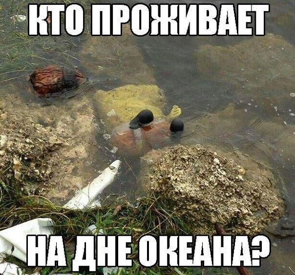    :D - 6  2015  13:25