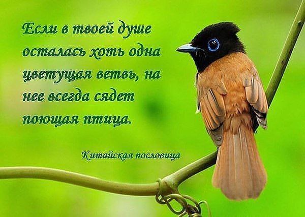   - 21  2015  01:27