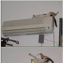 ���� Timur, ������, 55 ��� - ��������� 19 ������� 2015 � ������ ���� ����������