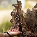 ���� ������, �����, 69 ��� - ��������� 7 ������ 2015 � ������ ���� ����������