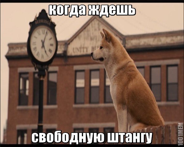    ))