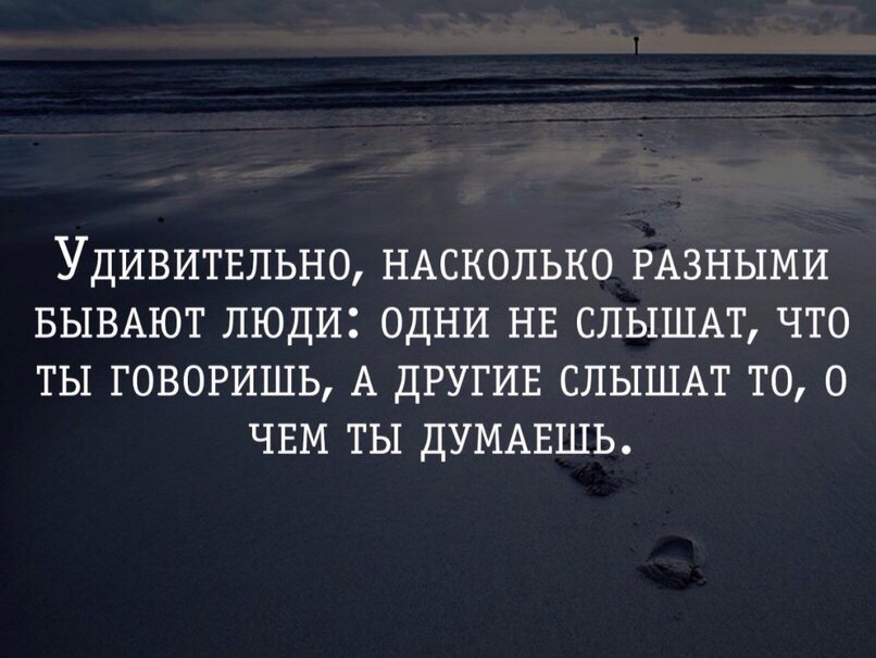   - 8  2015  22:50