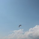 ���� Ssssss, ���� - ��������� 25 ������� 2015 � ������ ���� ����������