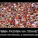  , -, 56  -  4  2015    