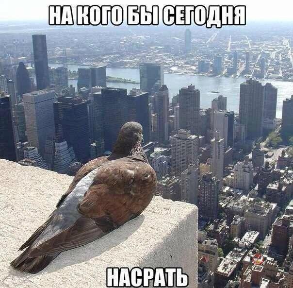   | , ,  - 3  2015  09:06