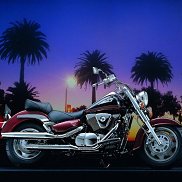 ���������, 55 ���, ������