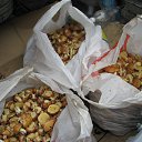 ���� ������. �� �����., ���� - ��������� 31 ������ 2015 � ������ ������ ��������